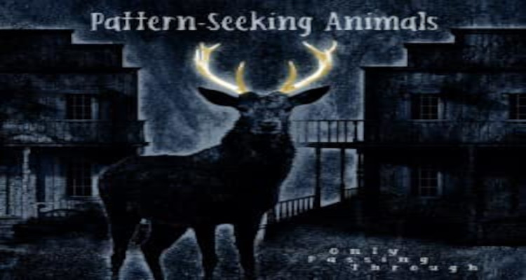 Pattern Seeking Animals – Only Passing Through