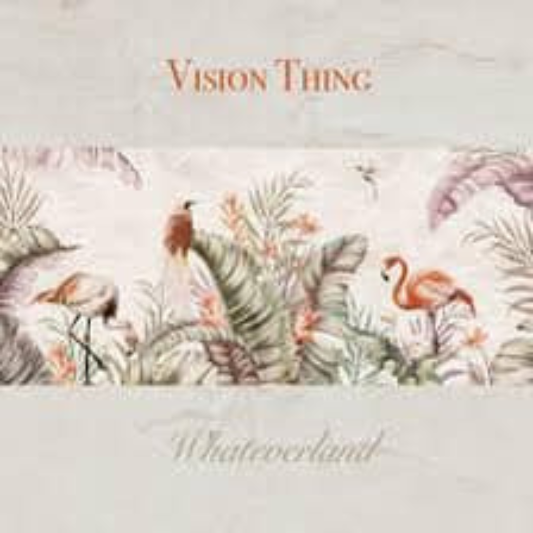 Whateverland – Vision Thing